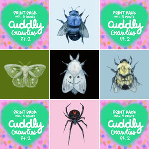 Cuddly Crawlies pt. 2 - Print Pack