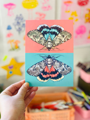 Postcard Print - Underwing Moth (mint & coral)