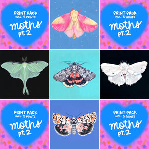 Moths pt. 2 - Print Pack