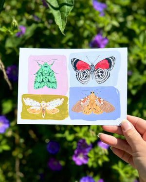 Sketchbook Moths - 5x7" Print