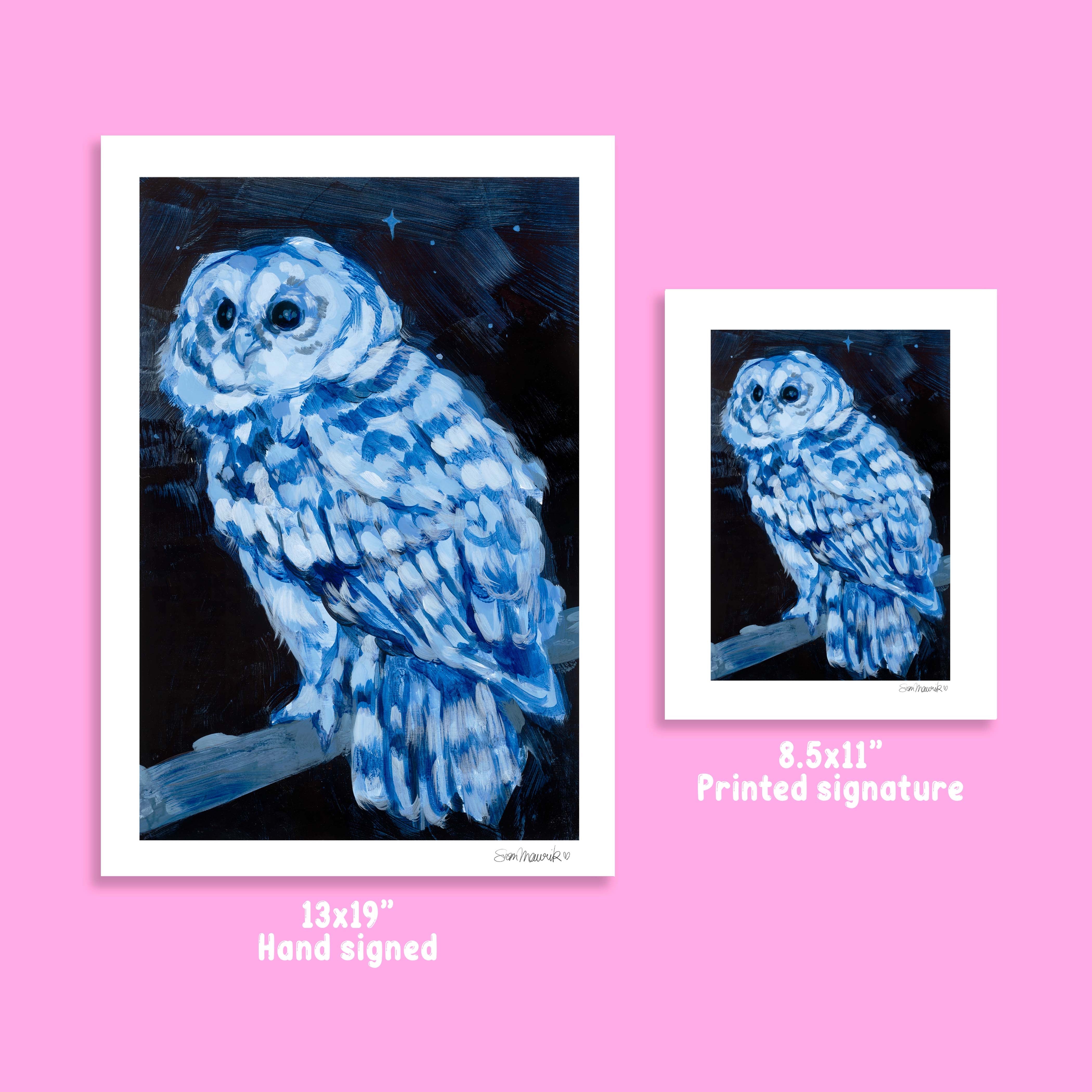 Barred Owl Art Print