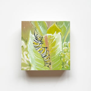Monarch Caterpillar  - Original Painting