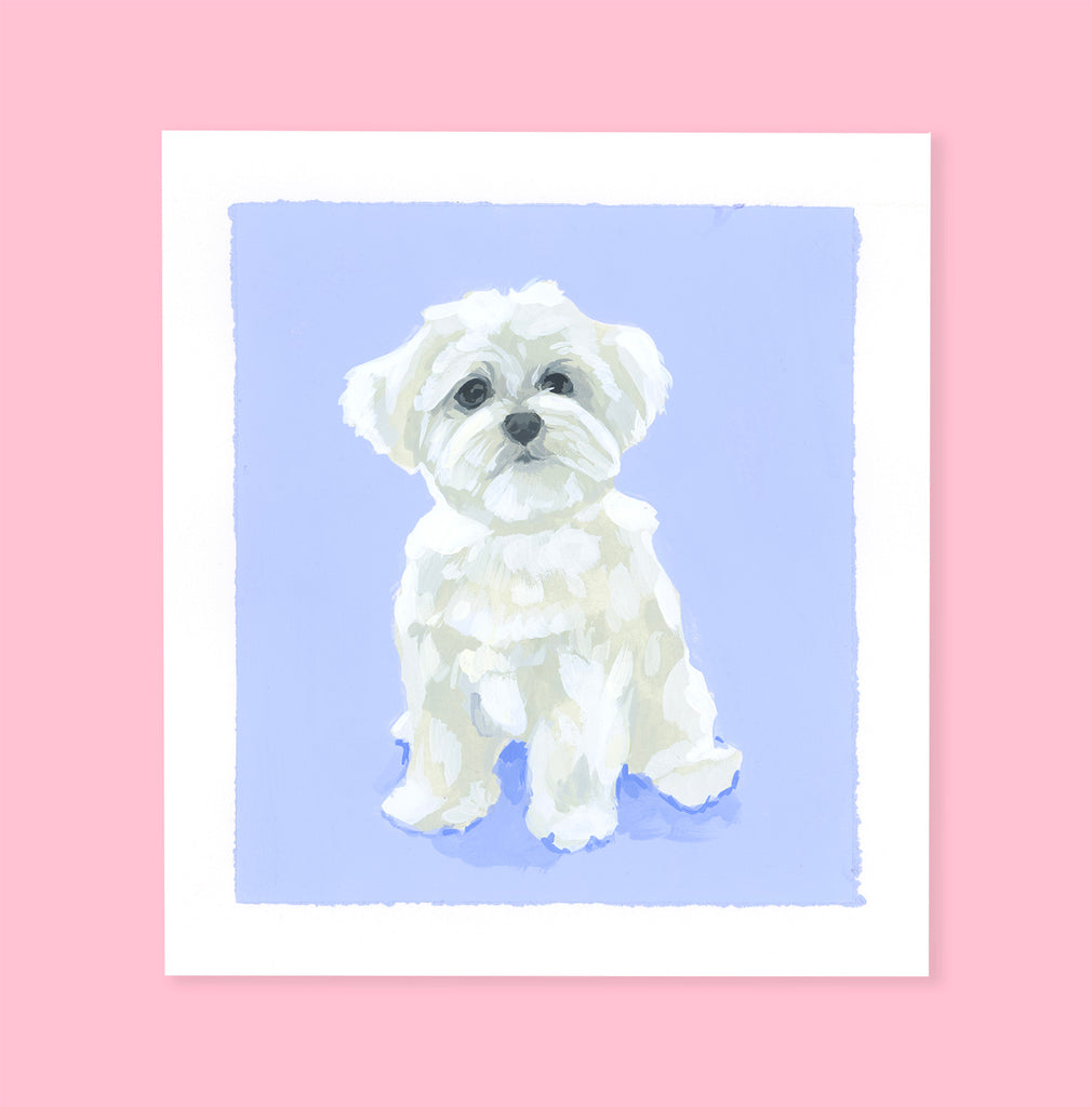 Bichon - Original Painting