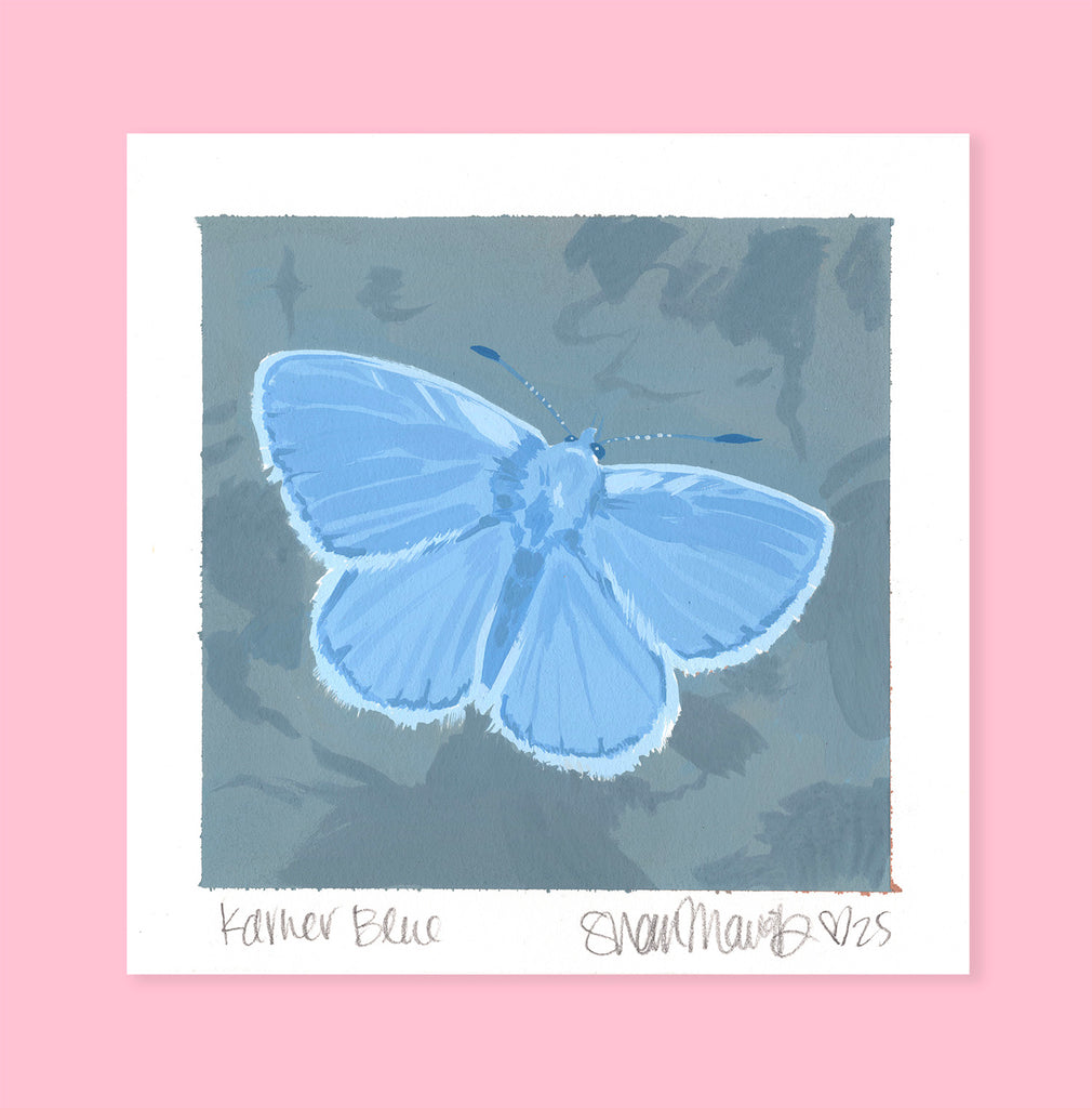 Karner Blue Butterfly - Original Painting