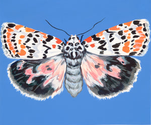 Moth - Original Acrylic Painting