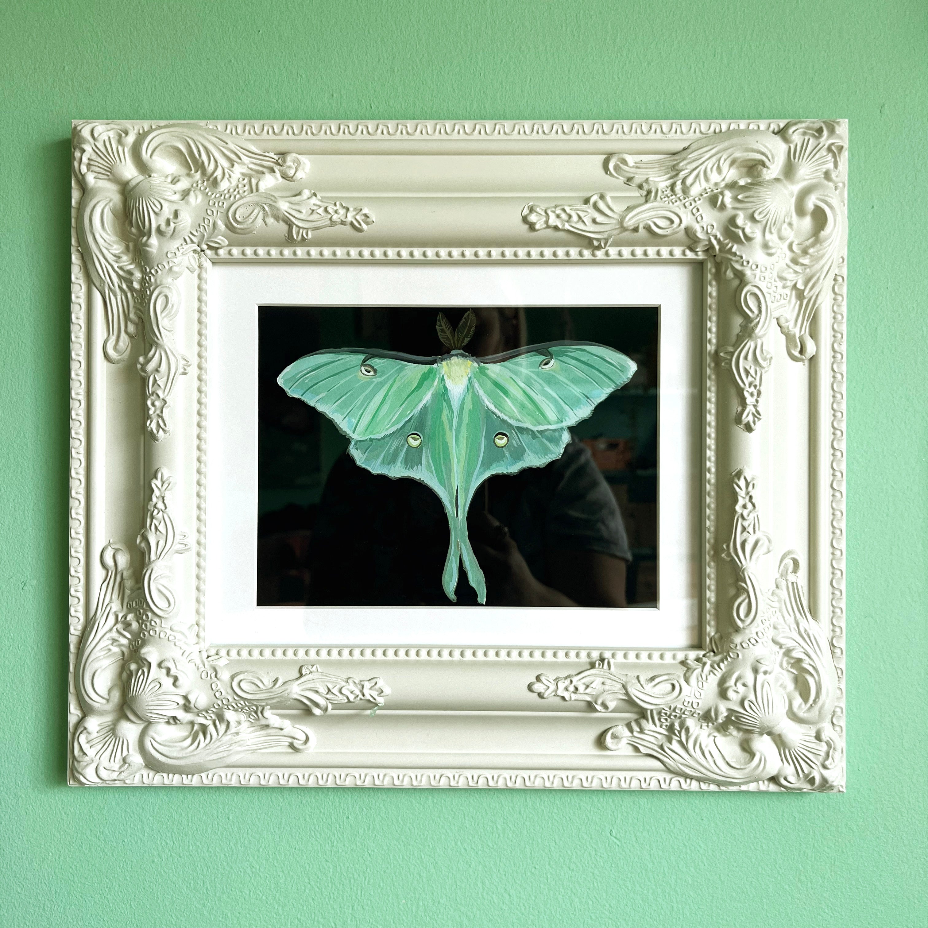Luna Moth - Original Painting (Framed)