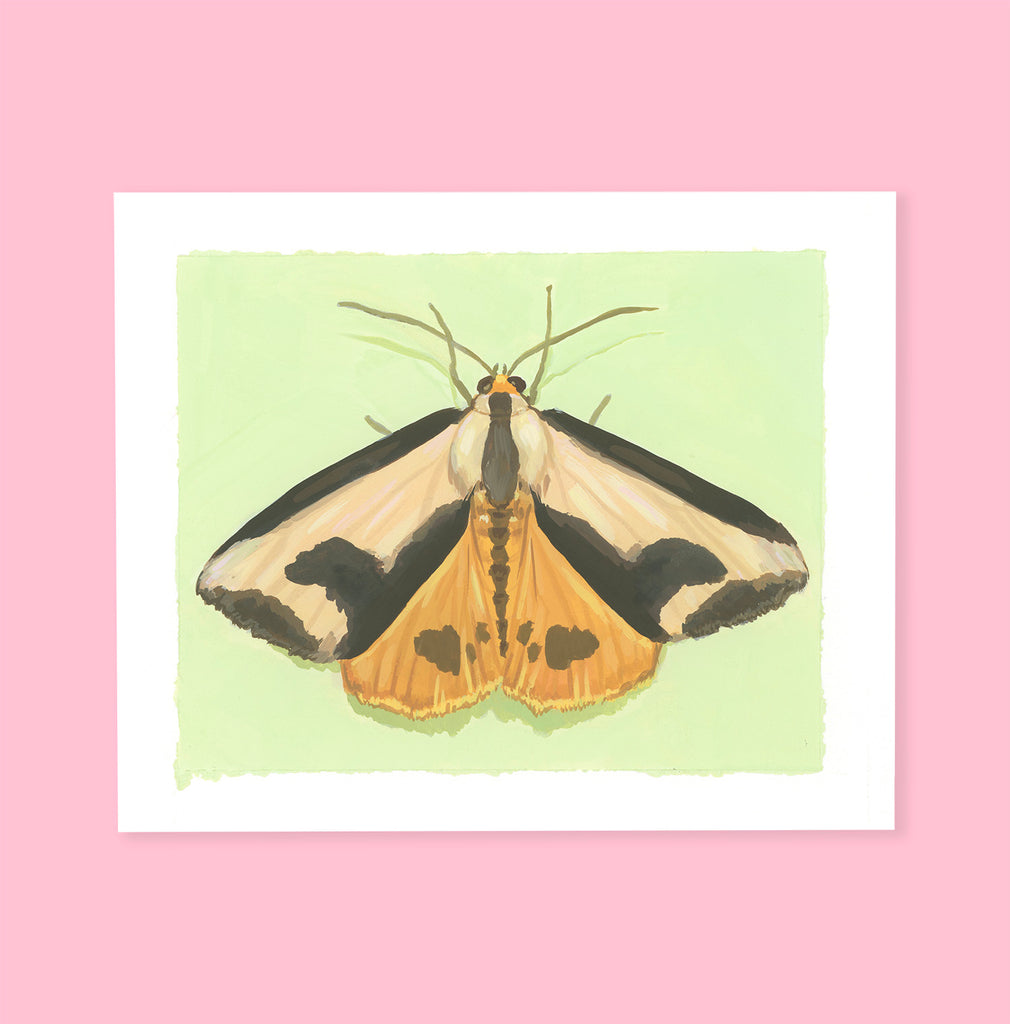 Moth - Original Painting