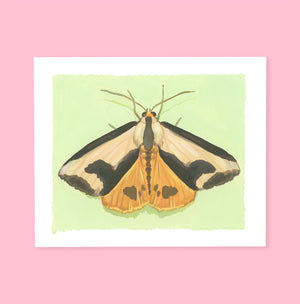 Moth - Original Painting