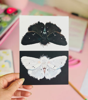 Postcard Print - Light and Dark Moths